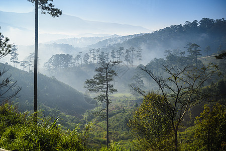 清晨越南雾中山林的景象环境旅行森林山脉风景天空岩石荒野日出爬坡图片