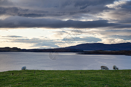 Bracadale湖 Skye湖 联合王国苏格兰风景山脉石头戏剧性旅游旅行氏族城堡爬坡峡湾图片