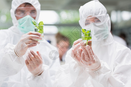 学生们站在实验室里 拿着装有植物的烧杯图片