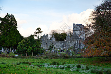 穆克罗斯修道院 爱尔兰 联合王国建筑花园旅行垃圾废墟遗址地标宗教遗产建筑学图片