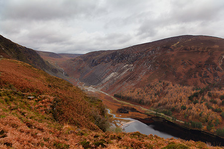 爱尔兰维克洛国家公园Glendalough上湖黄色绿色全景场景天空公园旅游地平线山脉森林图片