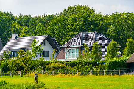 典型的杜丘建筑 带有森林和草草牧场的国家侧住房 卑尔根行动缩放 荷兰图片