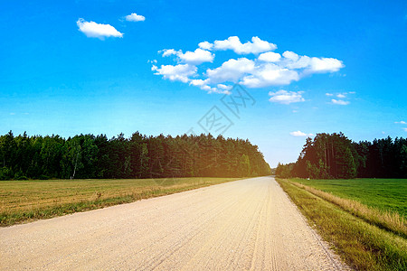 乡村道路在明亮的一天里出现风景农田森林爬坡树木土地草地沥青场地农场图片