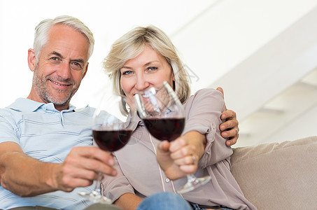 在沙发上坐着红酒杯的微笑成年夫妇长椅夫妻女性房子客厅男人酒精男性玻璃家庭生活图片