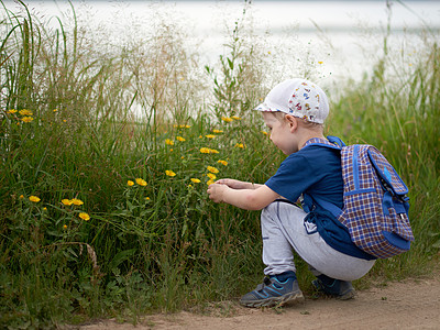 一个穿夏衣的男孩 背着背包和帽子检查野花童年阳光草地活动家庭闲暇自由男生好奇心环境图片