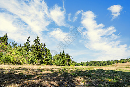 德国乡村谷地夏季风景(德国)图片