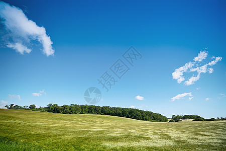 蓝天空下田地的农村景观图片