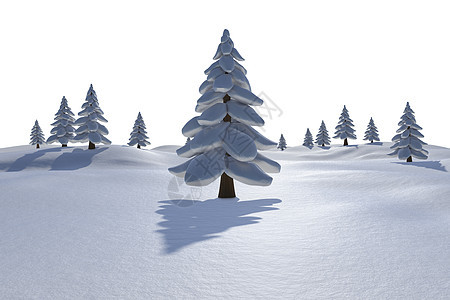 白雪的白雪风景 有fir树环境森林树木枞树插图计算机绘图图片