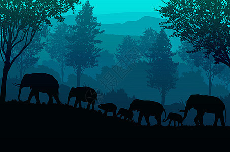 森林中的大象自然丛林绿色山脉地平线树木风景壁纸日出和日落插画矢量风格多彩景观背景图片