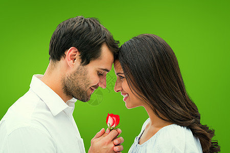 英俊男人给女朋友一朵玫瑰的复合形象女性快乐混血感情插图头发男性女士棕色情人图片