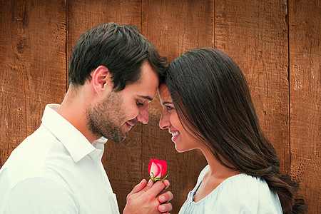 英俊男人给女朋友一朵玫瑰的复合形象计算机女性绘图微笑快乐混血夫妻女士击剑地板图片