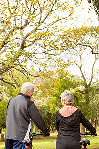 公园里的老夫妇感情保暖训练夫妻环境农村老年人微笑头发运动服图片