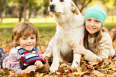 年轻男孩和女孩在树叶里带着狗躺着图片