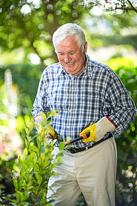 高年男子在花园剪剪剪剪图片