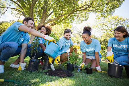 志愿种植组群植物混血服装种植园休闲福利团队微笑公园男性图片