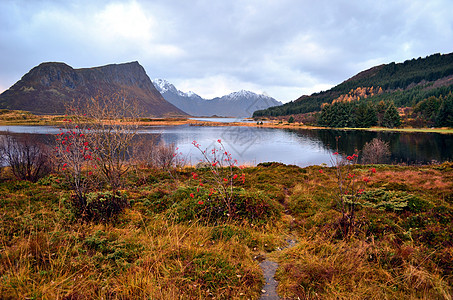 湖山风景美丽的风景图片