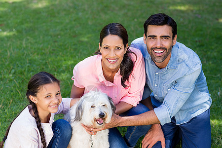 快乐的家庭与宠狗一起在公园里玩乐团结旅行感情服装假期晴天童年母亲宠物父亲图片