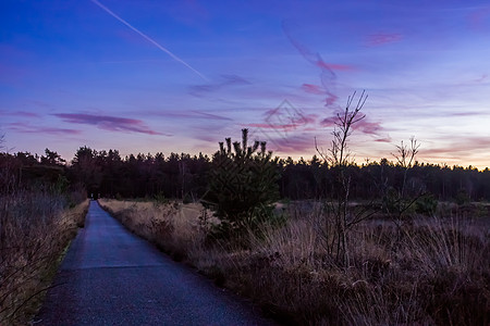 荷兰日落期间 自然保护区(荷兰)图片