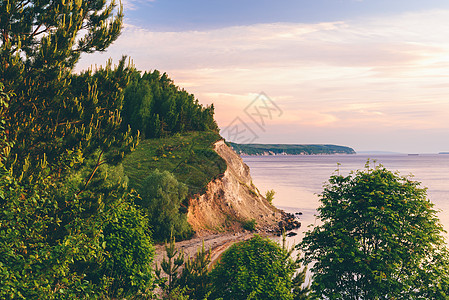 在悬崖上用松木的日出光亮海岸远足日光松树爬坡林地晴天岩石天空旅行图片