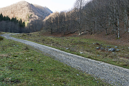 穿过山地秋季森林的生态道路 通向日光峰 巴尔干山 捷蒂文镇背景图片