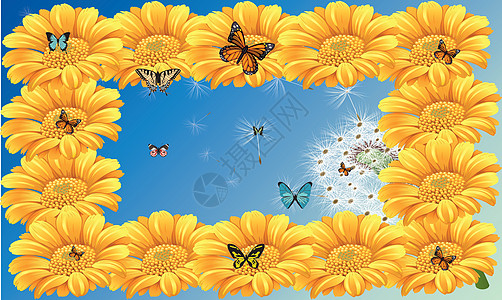蝴蝶正坐在花上的花蜜上天空背景 fram墙纸花束生态花园植物群橙子昆虫花瓣植物艺术图片