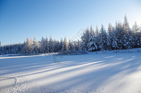 白冬 冰上湖边的雪林 很多雪图片