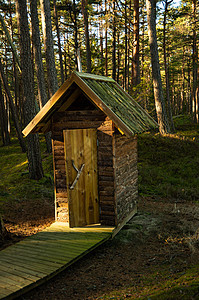 在阳光明媚的一天 森林中美丽的户外厕所图片