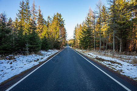 一条潮湿的道路 在欧洲的冬天 一场暴风雪甚至在柏油柏油路两旁的树上鲜艳的叶子上也留下了雪 简单的道路壁纸天空白色天气降雪驾驶森林图片