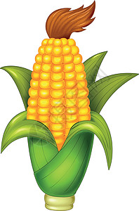 黄玉米绿叶卡通图片