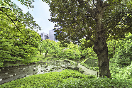 东京花园景观图片