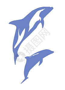 海豚一对艺术品水族馆哺乳动物海洋蓝色艺术野生动物游泳潜水绘画图片