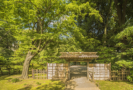 Rikugigien花园的小室内竹门雕塑射线木头教育树叶摄影晴天传统位置岩石图片