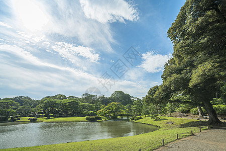 池塘周围有大松树 小岛上有木桥花园胰岛晴天树木竹子文化草地叶子阴影传统图片