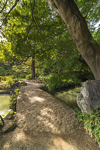 大石桥 叫做池塘上的图格素桥摄影花园石头公园传统阴影木头植物晴天松树图片