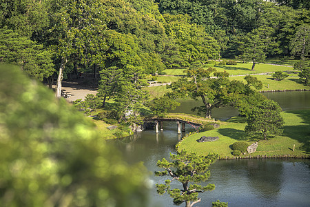 池塘周围有大松树 小岛上有木桥竹子木头位置树叶太阳叶子胰岛花园蓝天摄影图片