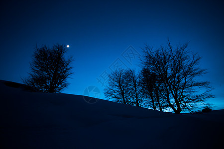 仙仙冬夜风雪月月天空树木公园爬坡月光童话寒意蓝色季节天气图片