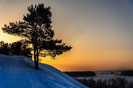 日落时 在白雪覆盖的山上的树上图片
