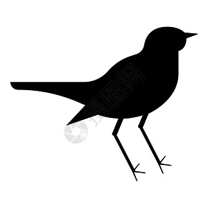 夜莺 Luscinia 鸟剪影图标黑色矢量插图平面样式 imag图片