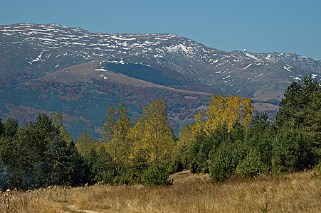 壮观的秋天风景 在普拉塔山上 角 山丘 森林和树林墙纸树叶全景平面晴天植物远足松树爬坡衬套图片