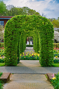 在公园的春天花坛旅游植物群园林环境植物园绿化自然环境花朵旅行图片