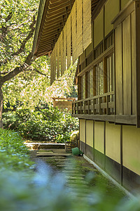 新宿御苑带有圆石路的沙化茶馆背景