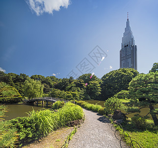 新宿的塔楼 俯视着上池塘木桥阴影文化世界晴天松树公园摄影蓝天树木木头图片