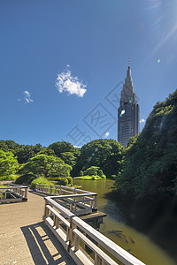 新宿的塔楼俯视着上池塘正方形树叶晴天草地植物代代木传统摄影公园蓝天图片