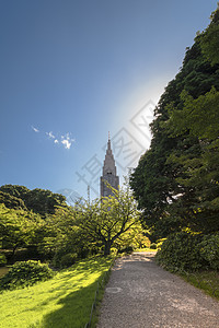 1cH00FFFFi1新宿的塔 俯视着池塘和森林公园叶子建筑树木正方形阴影植物传统代代木摄影图片