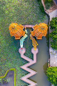台湾高雄的龙和虎塔神社场景景观荷花池佛教徒宝塔文化历史性公园走营图片