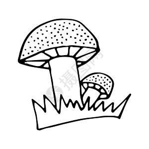 黑白蘑菇涂鸦素描图卡片彩页艺术衬衫白色黑色插图草图手绘填色图片