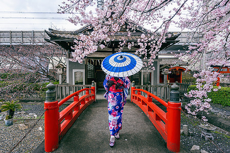 在日本京都寺庙的春天 身着日本传统和服和樱花的亚洲妇女戏服文化艺妓女士女孩公园樱花花园裙子衣服图片