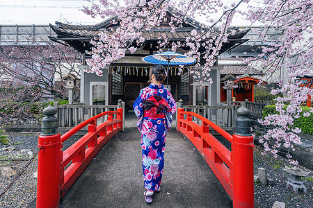 在日本京都寺庙的春天 身着日本传统和服和樱花的亚洲妇女艺妓花园樱花旅行女性衣服文化公园戏服植物图片