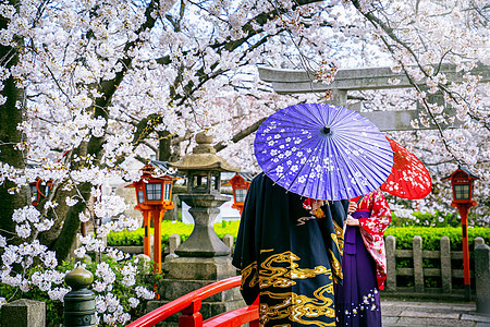 在日本京都寺庙的春天 穿着日本传统和服和樱花的旅游者图片