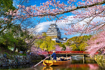 樱花和城堡 在日本冰地地标建筑学文化游客遗产吸引力公园花瓣旅游世界图片